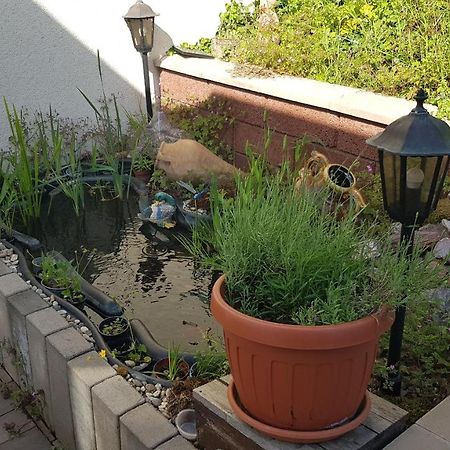 נוינקירכן Apartment Gartenblick מראה חיצוני תמונה