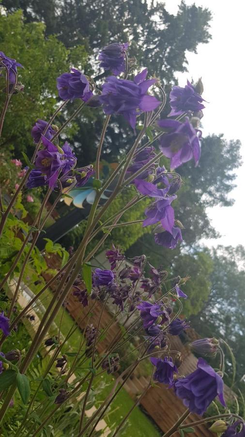 נוינקירכן Apartment Gartenblick מראה חיצוני תמונה