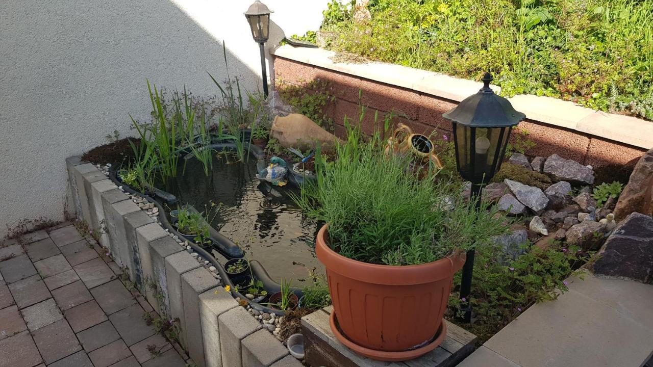 נוינקירכן Apartment Gartenblick מראה חיצוני תמונה